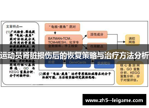 运动员肾脏损伤后的恢复策略与治疗方法分析 运动员肾脏损伤后的恢复策略与治疗方法分析